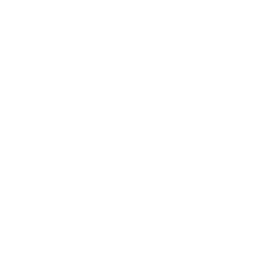 Logo icône Twinmotion